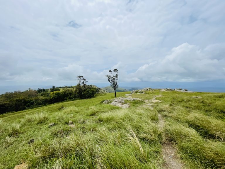 Gopalaswamy Hills aka Himavad Gopalaswamy Betta. Gundlupet, Karnataka, Kerala.