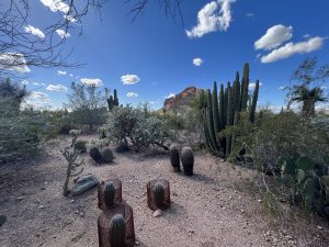 Various cactus plants in a desert botanical garden with a natural rock formation in the distance
