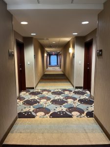 Hotel hallway, looking down the hall, maybe 8 doors long.