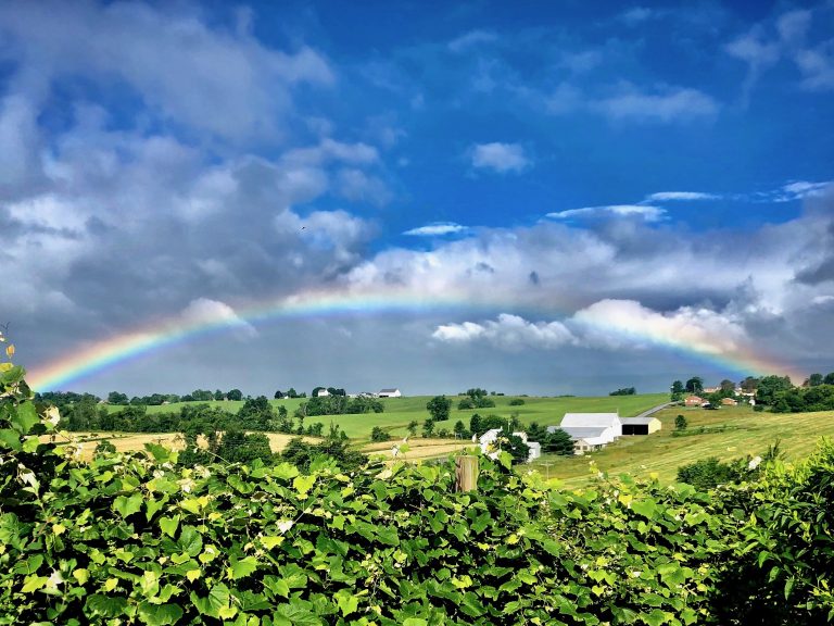 Summer rainbows over growing gardens and rolling farm fields