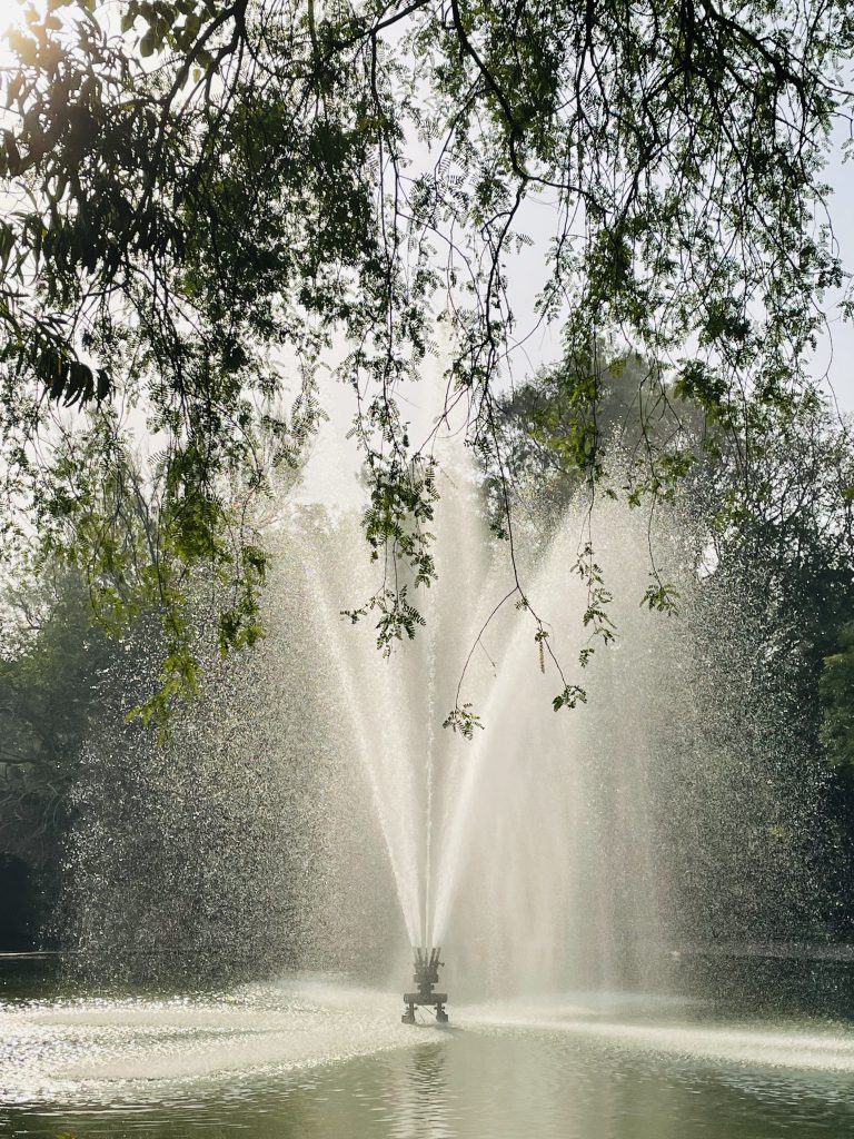 Water fountain, Lodhi Garden, New Delhi, India.