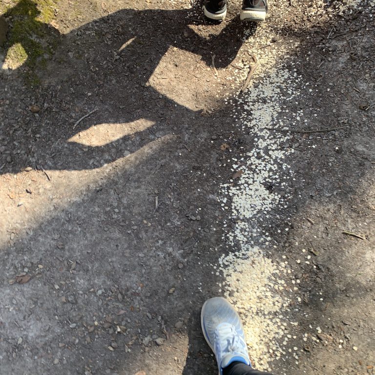 Runners on a path in the wood. Only the feet are visible. The shadow of the front runner is clear on the ground.