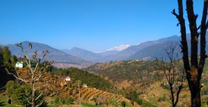 Home in the Himalayas: Serenity Amidst Nature's Beauty