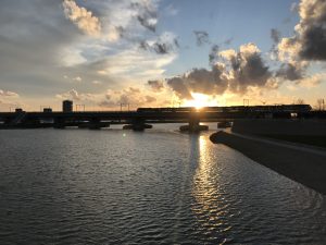 A train passing over the river Waal, in the Netherlands