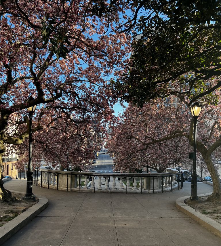 Staircases and pink magnolias. Spring in Mount Vernon.