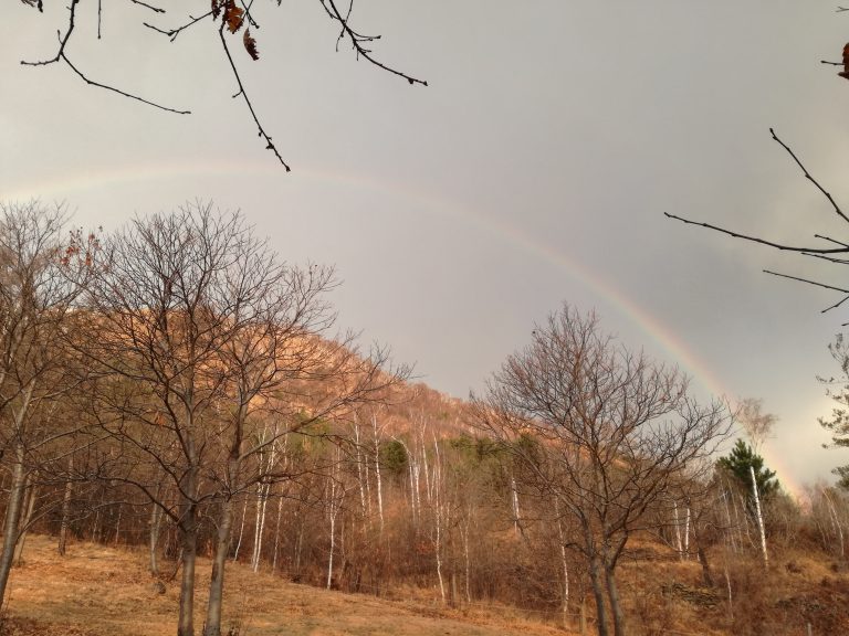 mountain, rainbow, forest