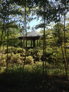 A gazebo in a bamboo copse