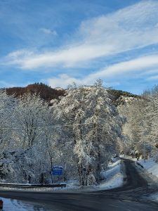 mountain, snow, curve, signs, crossroads, road