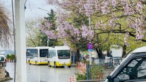 Golyazi, Bursa, Turkey. Two buses parked at the local bus station. Surrounded by green trees and vibrant flowers.
