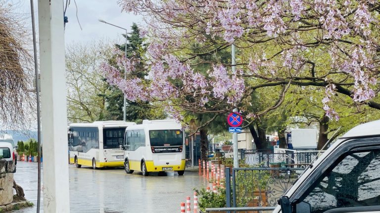 Golyazi, Bursa, Turkey. Two buses parked at the local bus station. Surrounded by green trees and vibrant flowers.