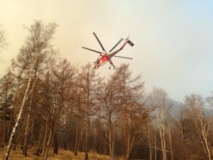 helicopter, fire brigade, fire, forest
