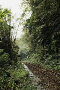 Train tracks and forest path along Shifen Waterfall
