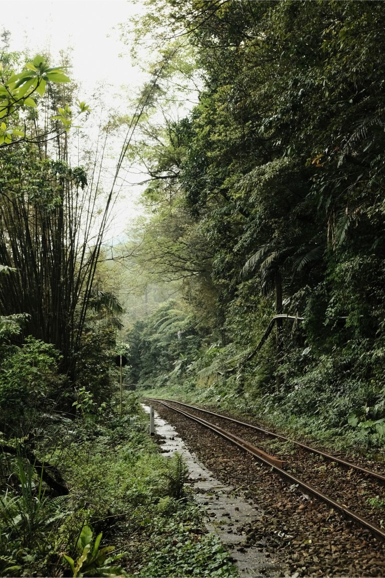 Train tracks and forest path along Shifen Waterfall