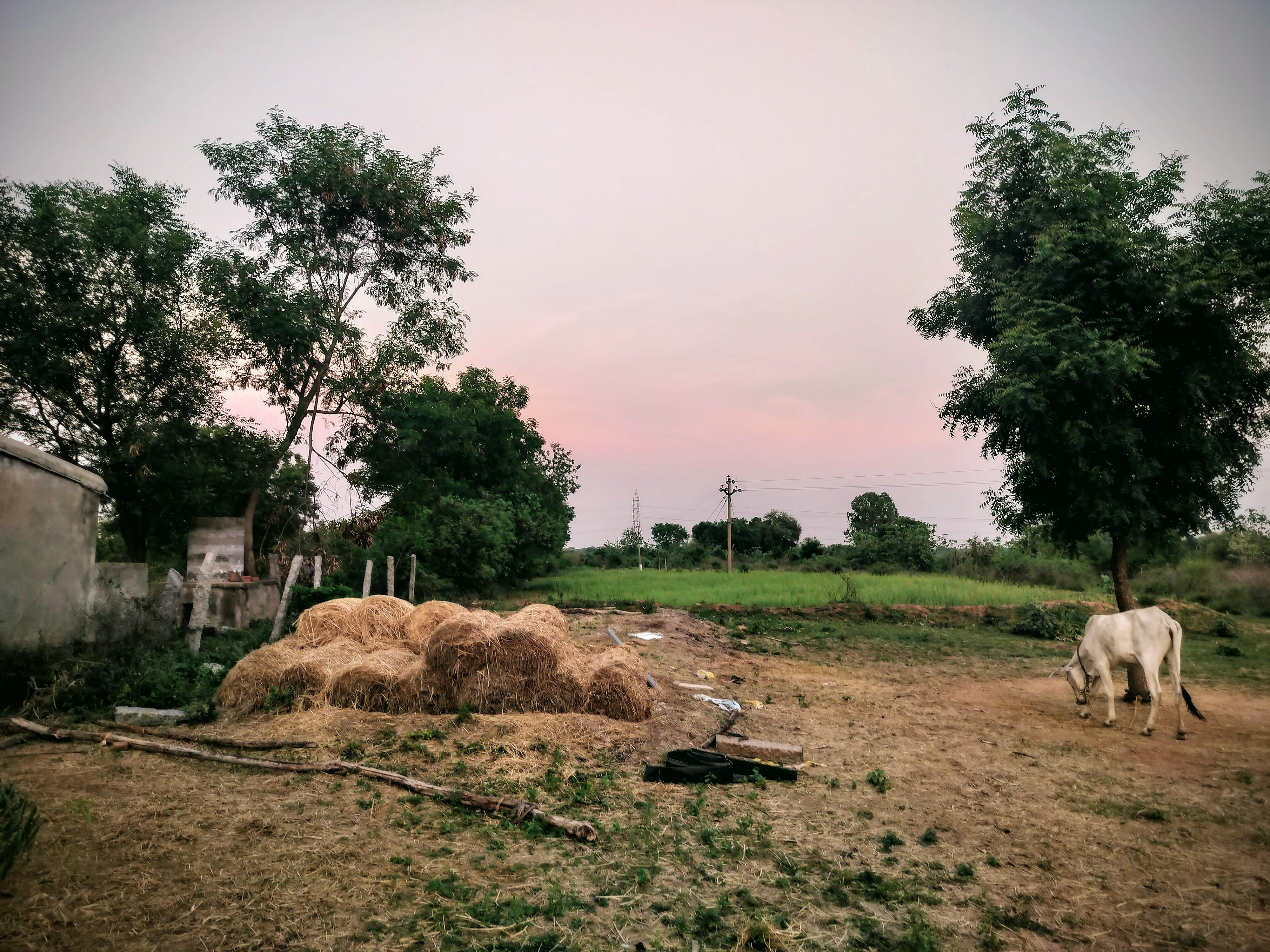 country side farm fields