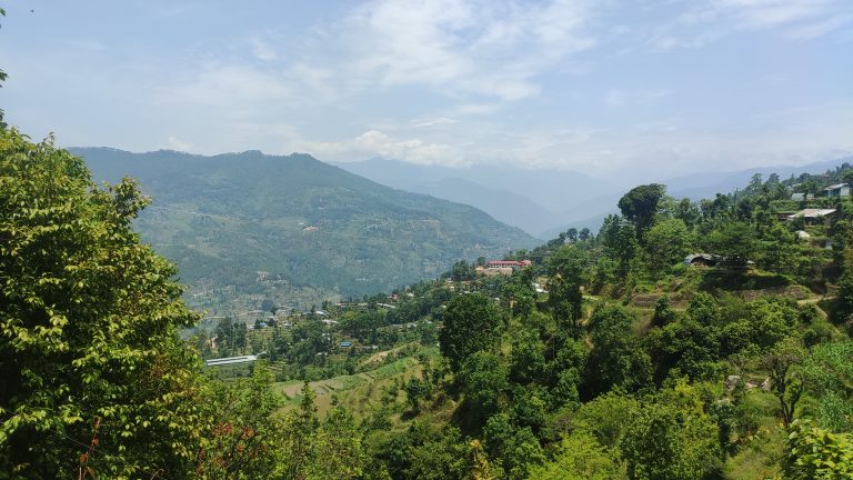 Greenery and mountain scenery