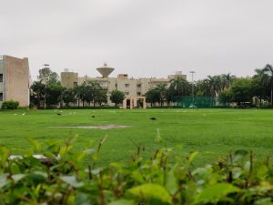 After the rain, the large green lawn beckoned with its vibrant hues, inviting birds to revel in its splendor and enjoy a playful dance amidst nature's lush canvas.