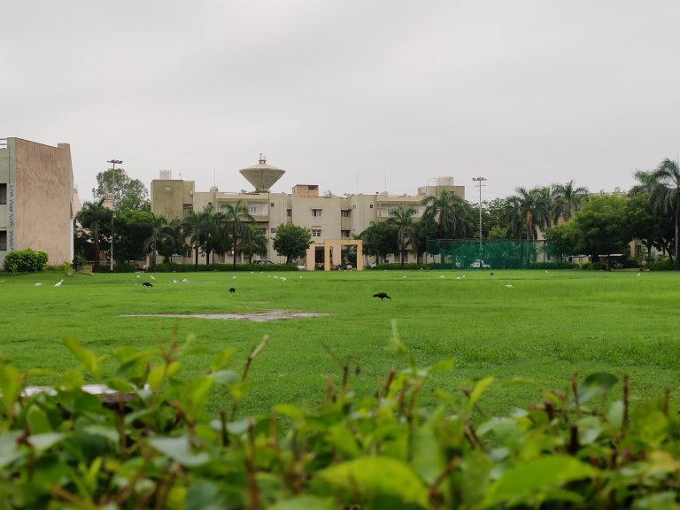 After the rain, the large green lawn beckoned with its vibrant hues, inviting birds to revel in its splendor and enjoy a playful dance amidst nature’s lush canvas.