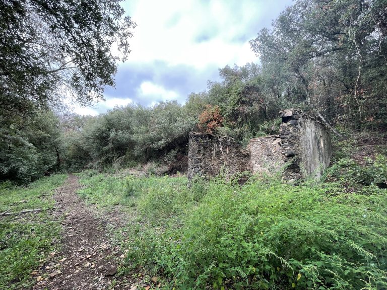 An old building ruins in the woods