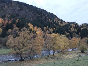 秋天山谷里的河流
