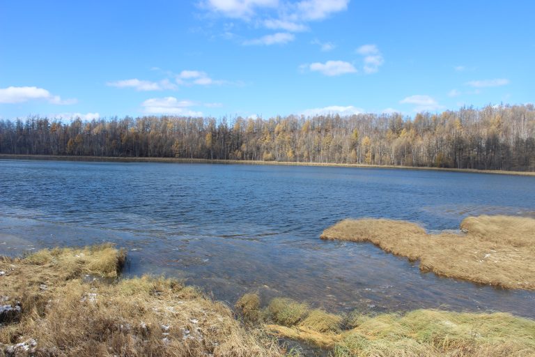 During my visit to Changchun, a northern city in China, I captured a picture of a serene lake surrounded by withered grass, indicating the onset of winter. The scene exuded a sense of calm and peacefulness.