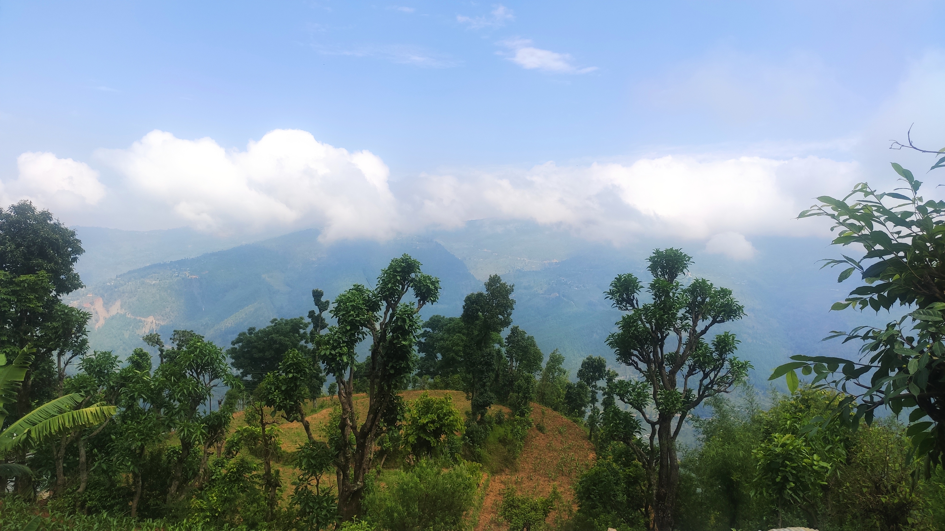 Greenery and mountain scenery