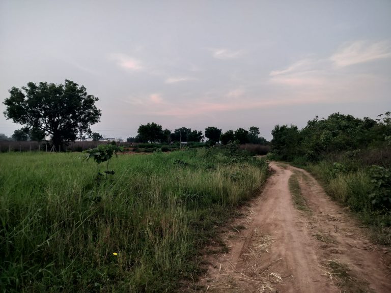 Countryside road