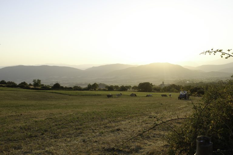 Sunset in the Pyrenees. Mountains in background.