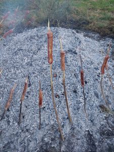 View larger photo: Pile of ash about knee high and twice as wide. Sticks are stuck into the ground around the edges, leaning over the ashes with sausages on the ends of the sticks.