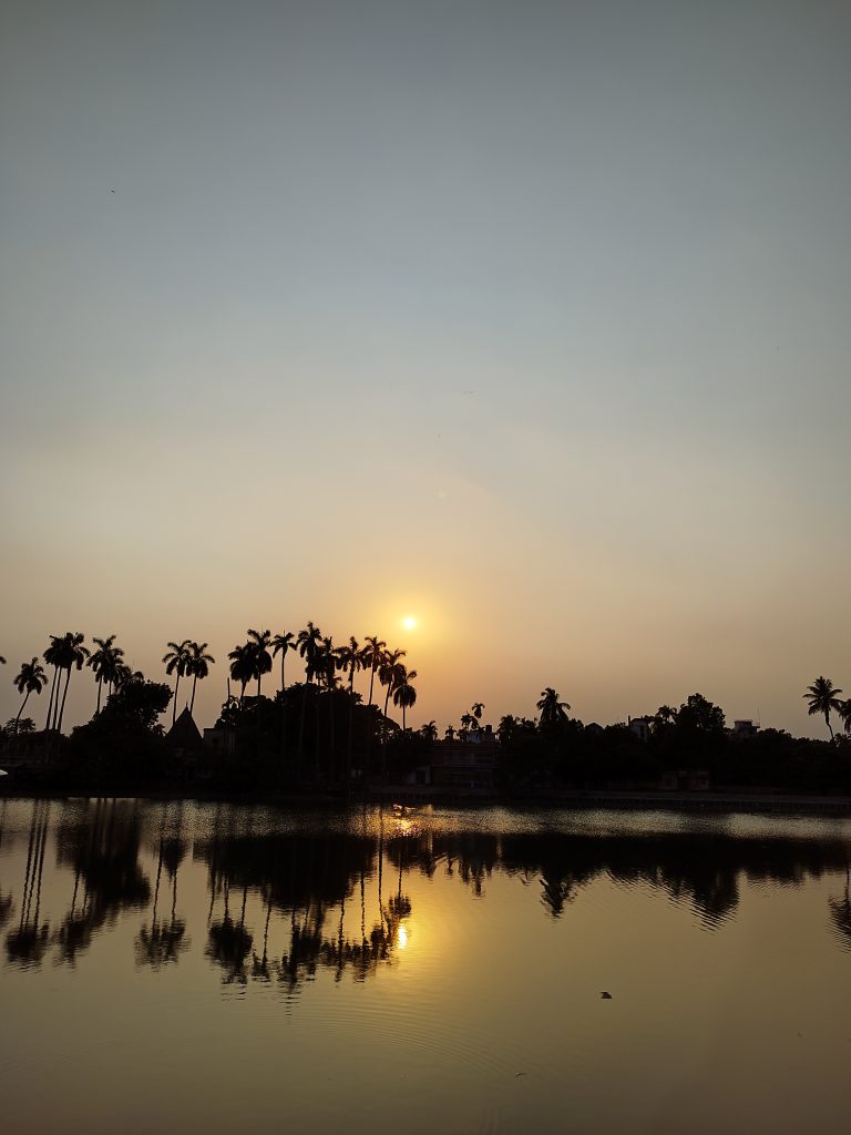 Sunset over palm trees with water in the foreground.