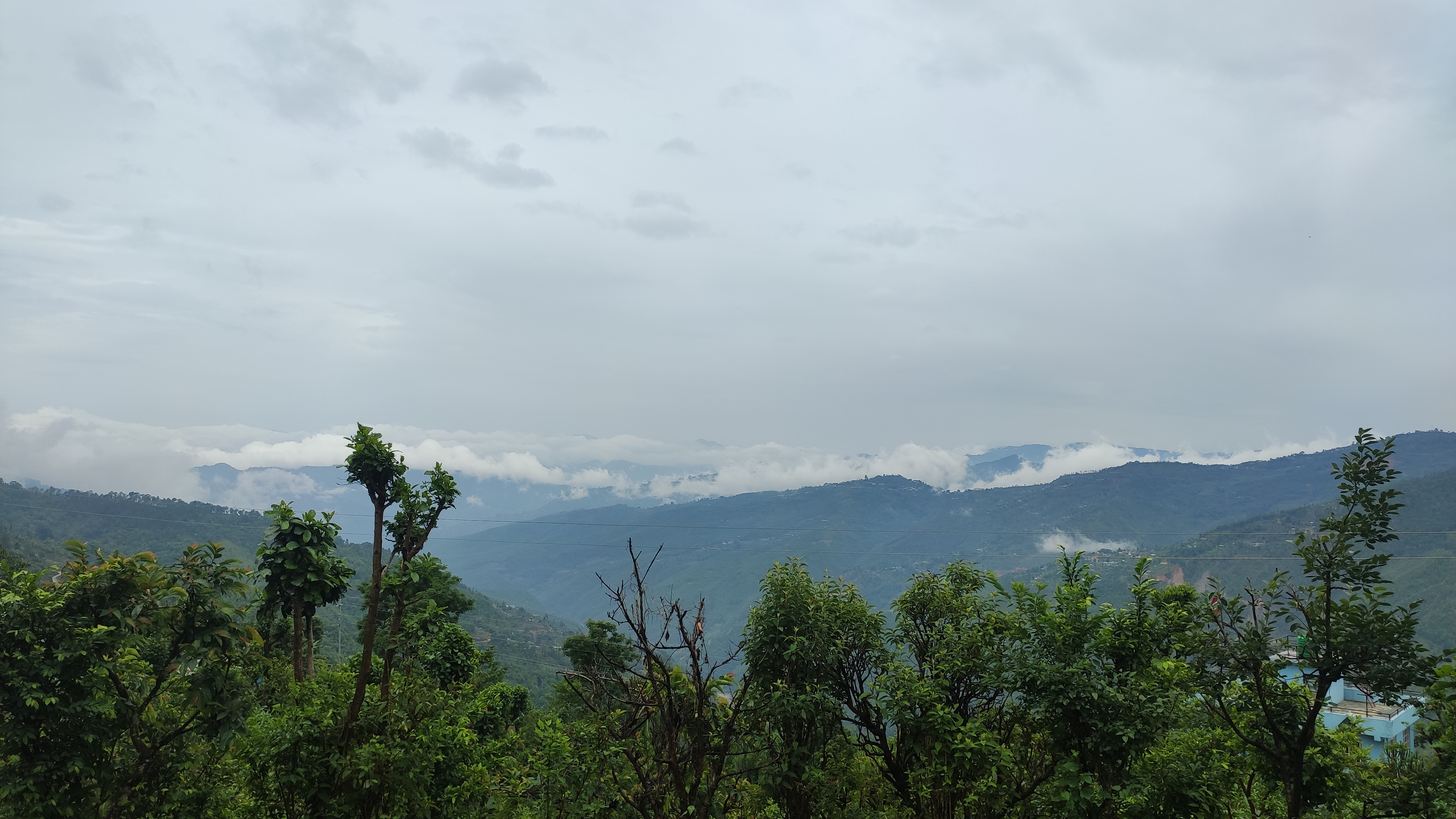 Greenery and mountain scenery