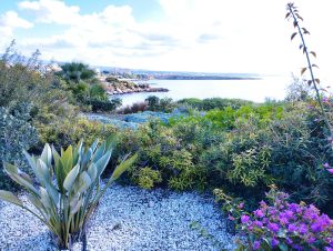 A garden nearby the sea in Paphos, Cyprus.