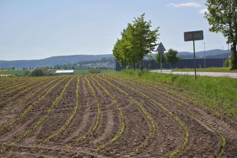 ?erstvě zorané pole u silnice s horami v pozadí
A freshly plowed field by a road with mountains in the background