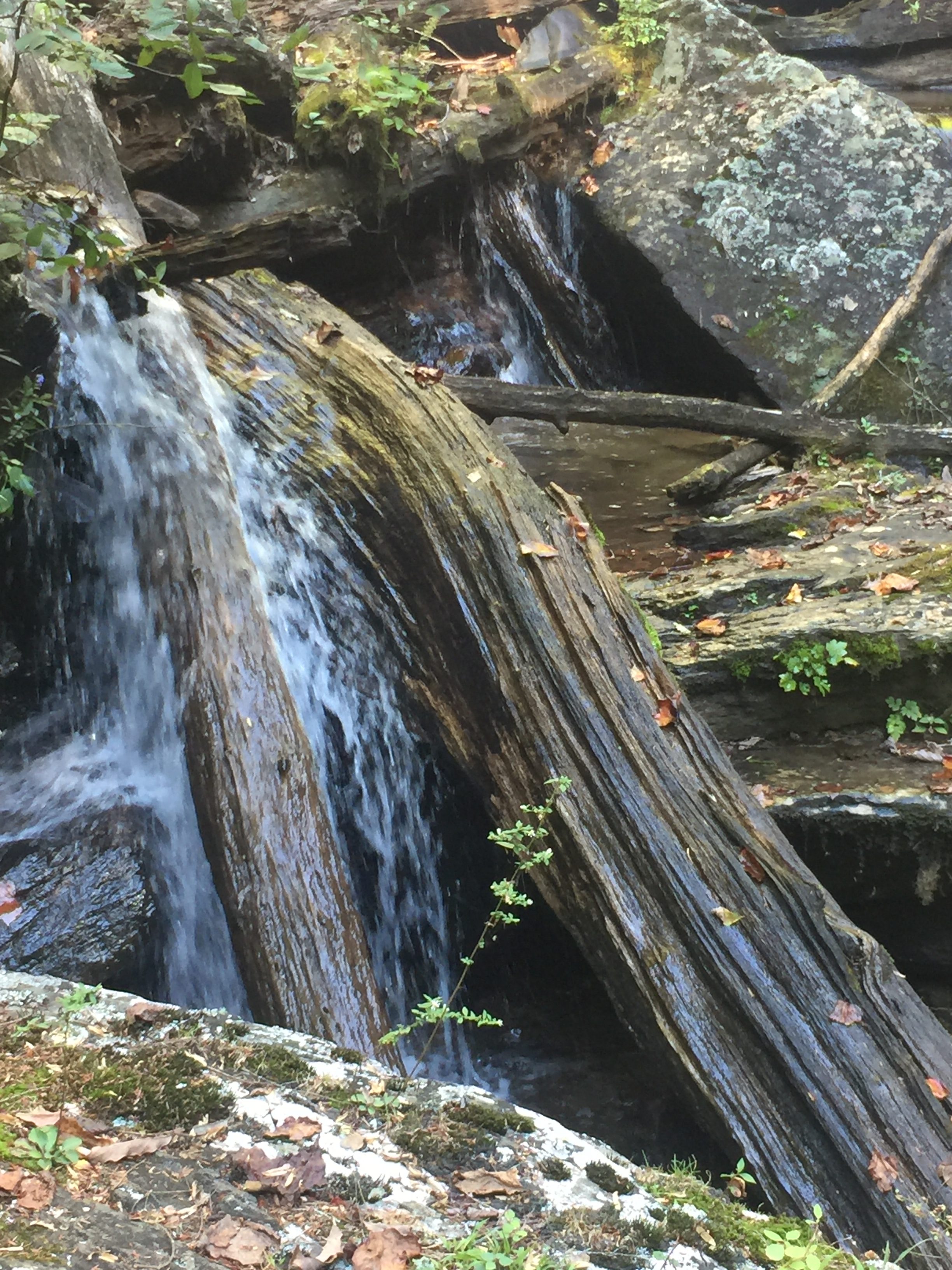 Water falling down logs and mossy rocks.