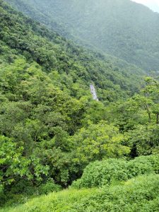 Thamarassery churam view, Wayanad, Kerala, India