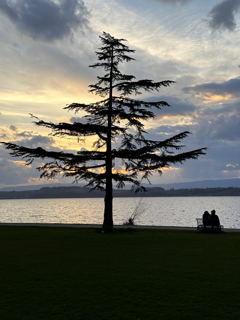 A couple sitting on a bench next to a tree during sunset at Lake Murten.