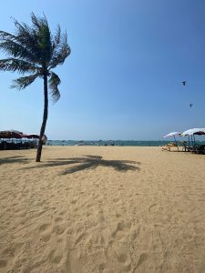 Pattaya Beach. View across about 100 meters of sand with a large palm tree in the foreground on the left. Ocean water beyond the sand. Beach umbrellas on the sides, people playing in the water in the distance.
