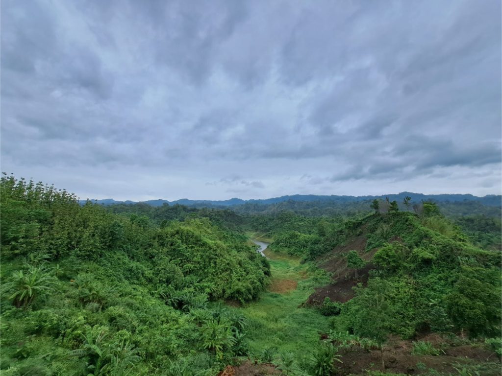 River between mountains with a cloudy sky