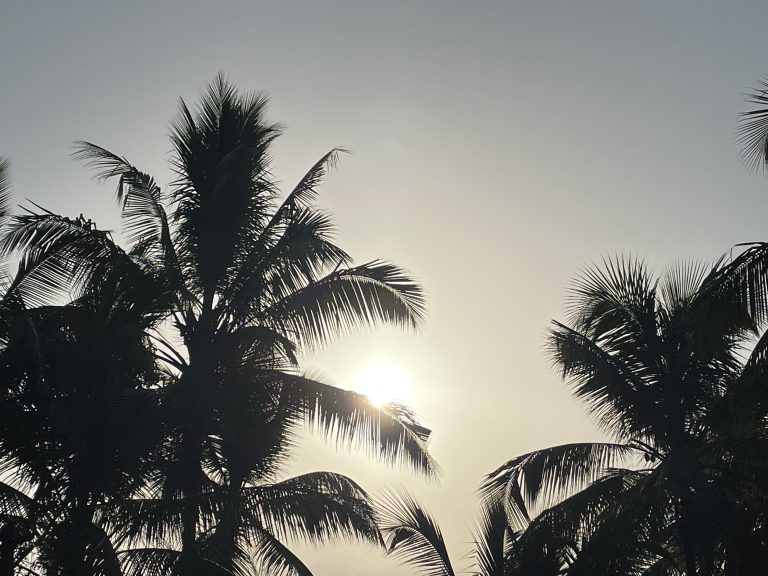 Sunrise from our neighbourhood. Perumanna, Kozhikode, Kerala, India.