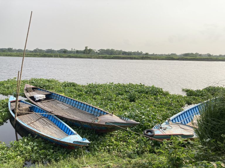 Boats in the water