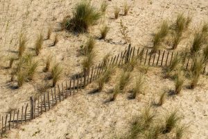 A picket fence in a dune landscape, photographed from a high vantage point.

