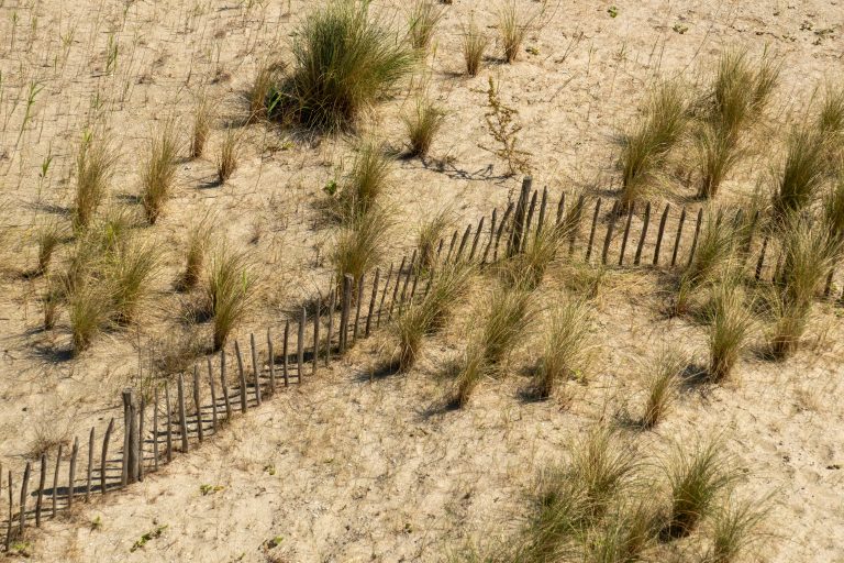 A picket fence in a dune landscape, photographed from a high vantage point.