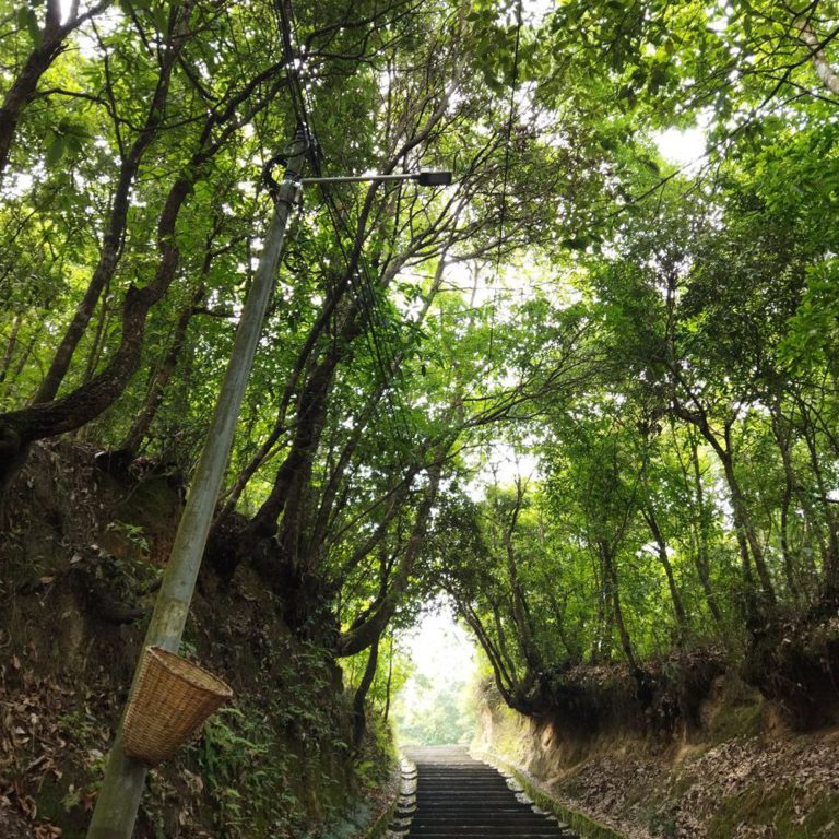 nepal dhulikhel thousand steps