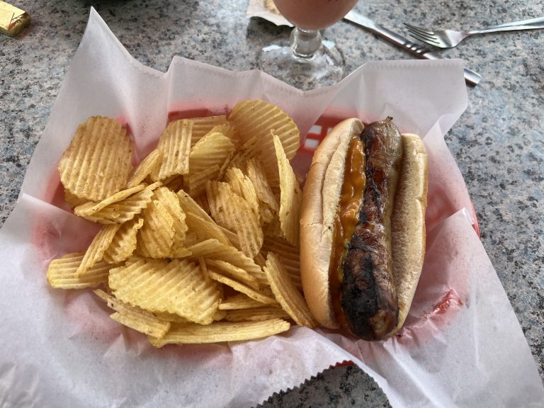 Bratwurst in a bun with brat sauce on it, in a paper bowl with potato chips.