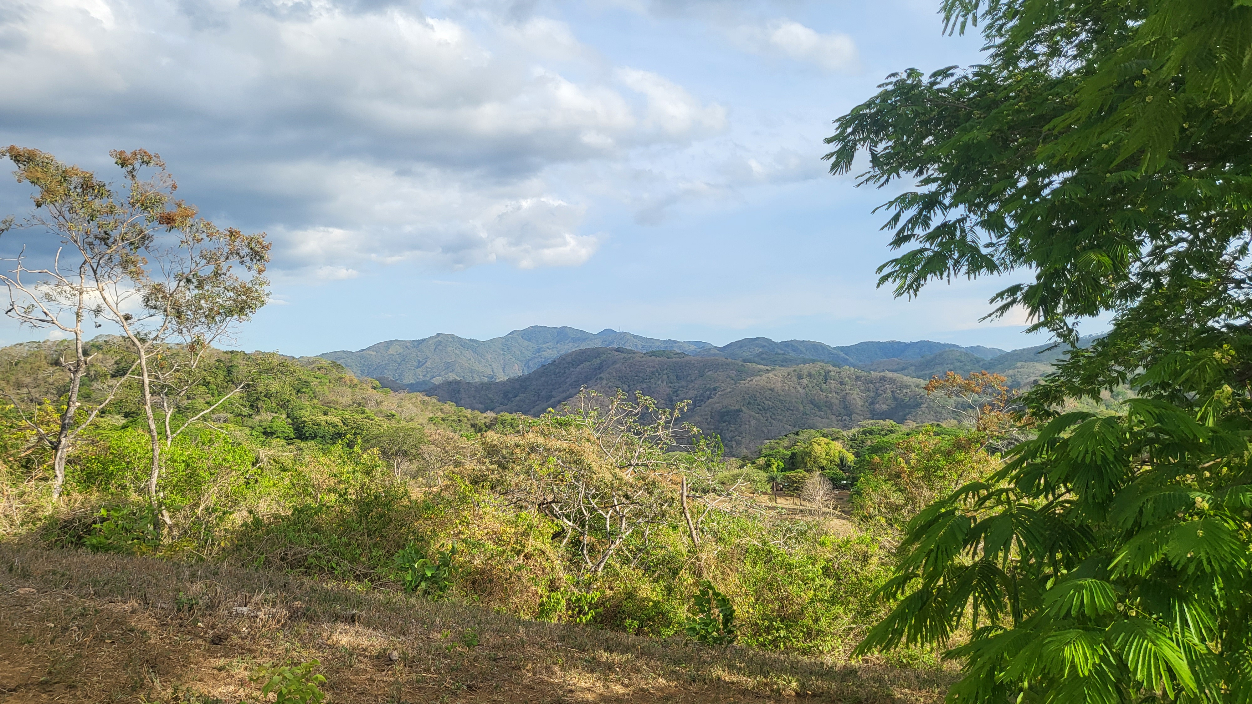 Paisaje verde, montañas. Green rolling hills, view all the way to the horizon.