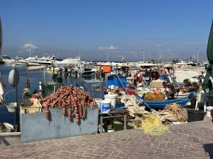 Boats in a fishing wharf at the outskirts of Athens, Greece. WCEU