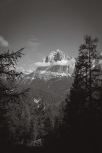 Black and white of the top of a mountain sticking out between forest trees with two small clouds ringing around it.