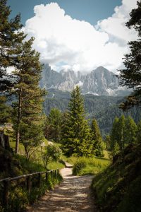 Small forest footpath in the foreground with looming mountains with big, white clouds above in the distance. Trees at varying distances are dotted throughout.