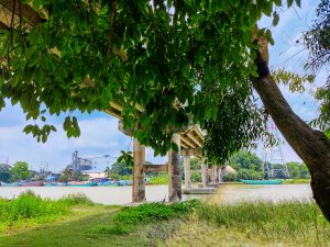 Standing under a tree under a roadway bridge. The bridge corsses a river, and we're looking across the river at some warehouses.