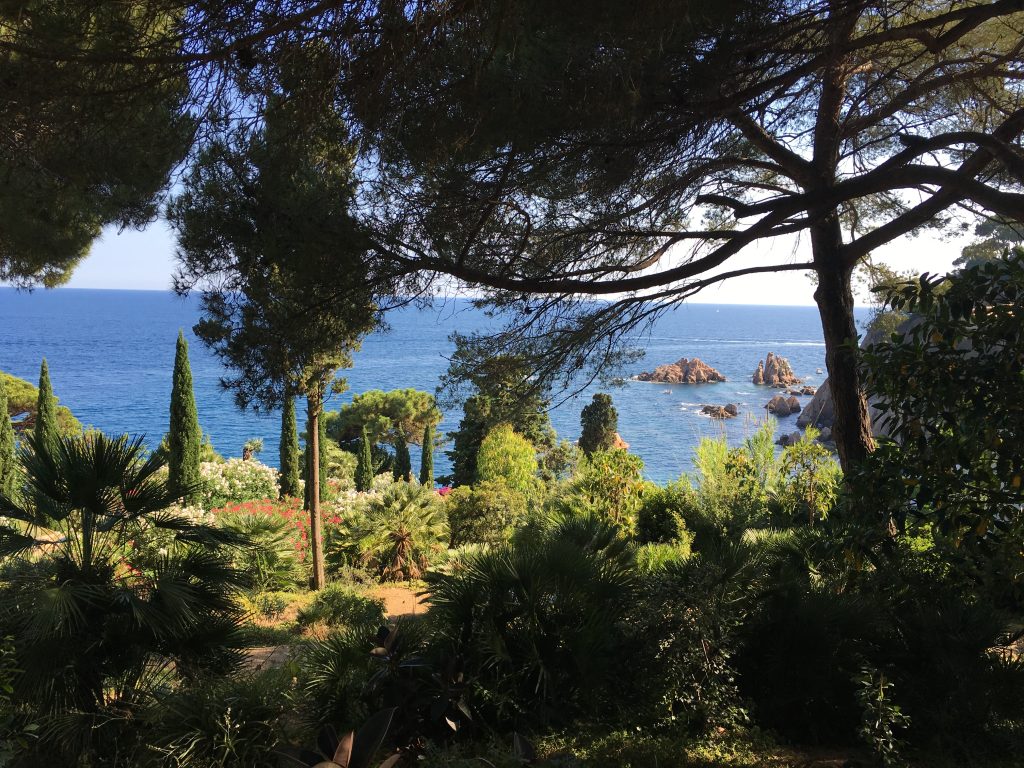 El mar mediterráneo desde el jardin botanico de Blanes (Girona, España) – Mediterranean sea from the botanical garden of Blanes (Girona, Spain)