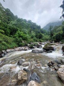 A mountain river in the high hills surrounded by jungle under the gloomy sky.
